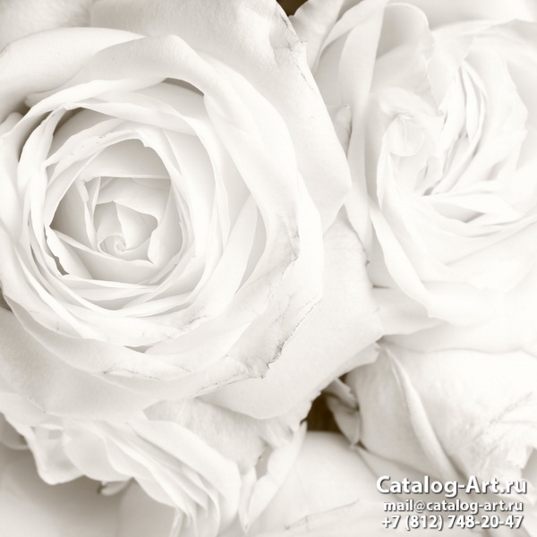 White roses 43